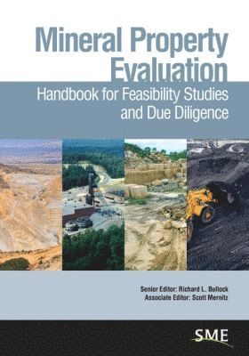 Richard L. Bullock, Scott Mernitz - Mineral Property Evaluation, Inbunden