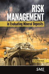 bokomslag Risk Management in Evaluating Mineral Deposits