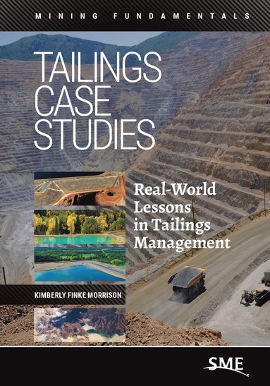 bokomslag Tailings Case Studies