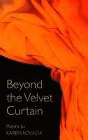 bokomslag Beyond the Velvet Curtain