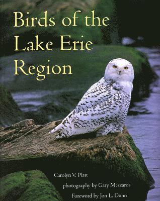 bokomslag Birds of the Lake Erie Region