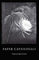bokomslag Paper Cathedrals