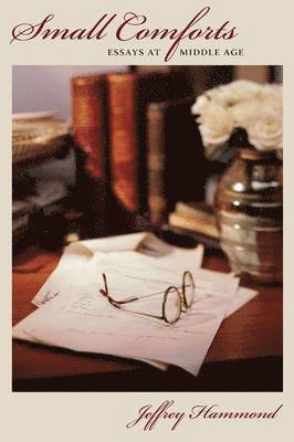 The Kent State University Press, Jeffrey Hammond - Small Comforts, Häftad