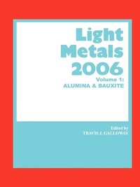 bokomslag Light Metals 2006