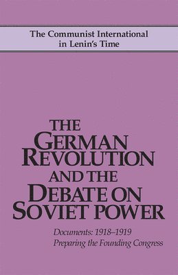 German Revolution and the Debate on Soviet Power