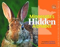 bokomslag Minnesota's Hidden Alphabet