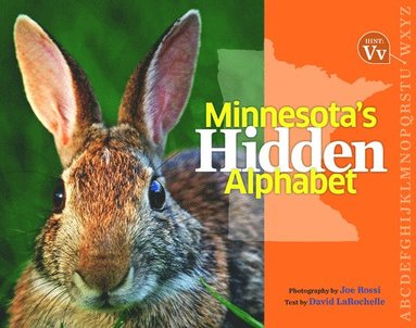 bokomslag Minnesota's Hidden Alphabet