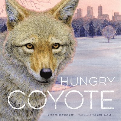 Hungry Coyote 1