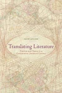 bokomslag Translating Literature