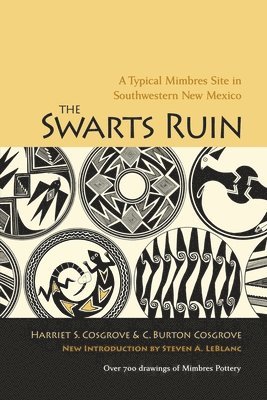 Swarts Ruin