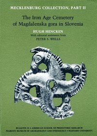bokomslag Mecklenburg Collection: Part II The Iron Age Cemetery of Magdalenska gora in Slovenia