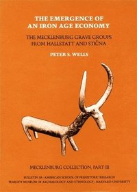 bokomslag Mecklenburg Collection: Part III The Emergence of an Iron Age Economy: The Mecklenburg Grave Groups from Hallstatt and Stina
