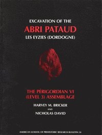 bokomslag Excavation of the Abri Pataud, Les Eyzies (Dordogne): Volume 3