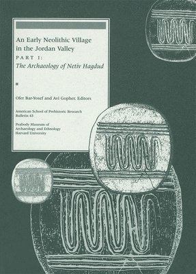 Ofer Bar-Yosef, Avi Gopher - The Archaeology of Netiv Hagdud, Häftad