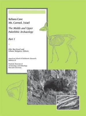 Ofer Bar-Yosef, Liliane Meignen - Kebara Cave, Mt. Carmel, Israel, Häftad