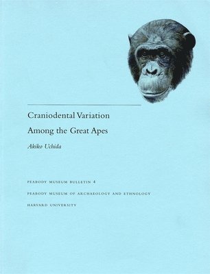 Akiko Uchida - Craniodental Variation Among the Great Apes, Häftad
