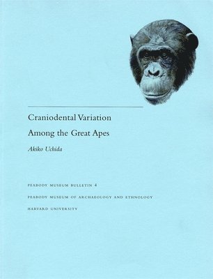 Craniodental Variation Among the Great Apes 1