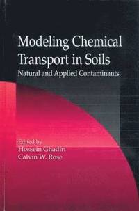 bokomslag Modeling Chemical Transport in Soils