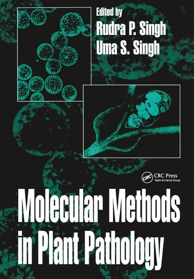 bokomslag Molecular Methods in Plant Pathology