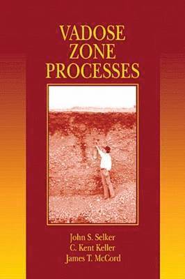 bokomslag Vadose Zone Processes