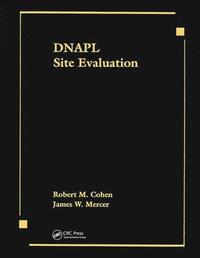 bokomslag DNAPL Site Evaluation