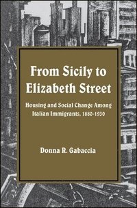 bokomslag From Sicily to Elizabeth Street