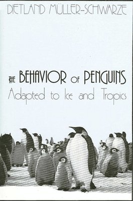 Dietland Müller-Schwarze - Behavior of Penguins, Inbunden