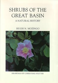 bokomslag Shrubs Of The Great Basin-A Natural History