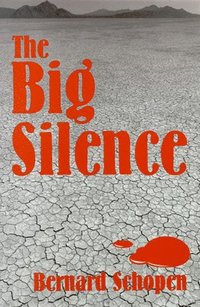 bokomslag The Big Silence