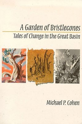 A Garden of Bristlecones 1