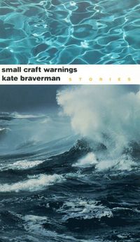 bokomslag Small Craft Warnings