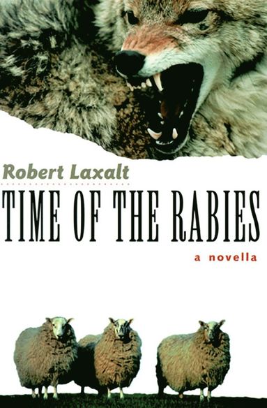 bokomslag Time of the Rabies