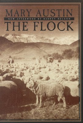 bokomslag The Flock