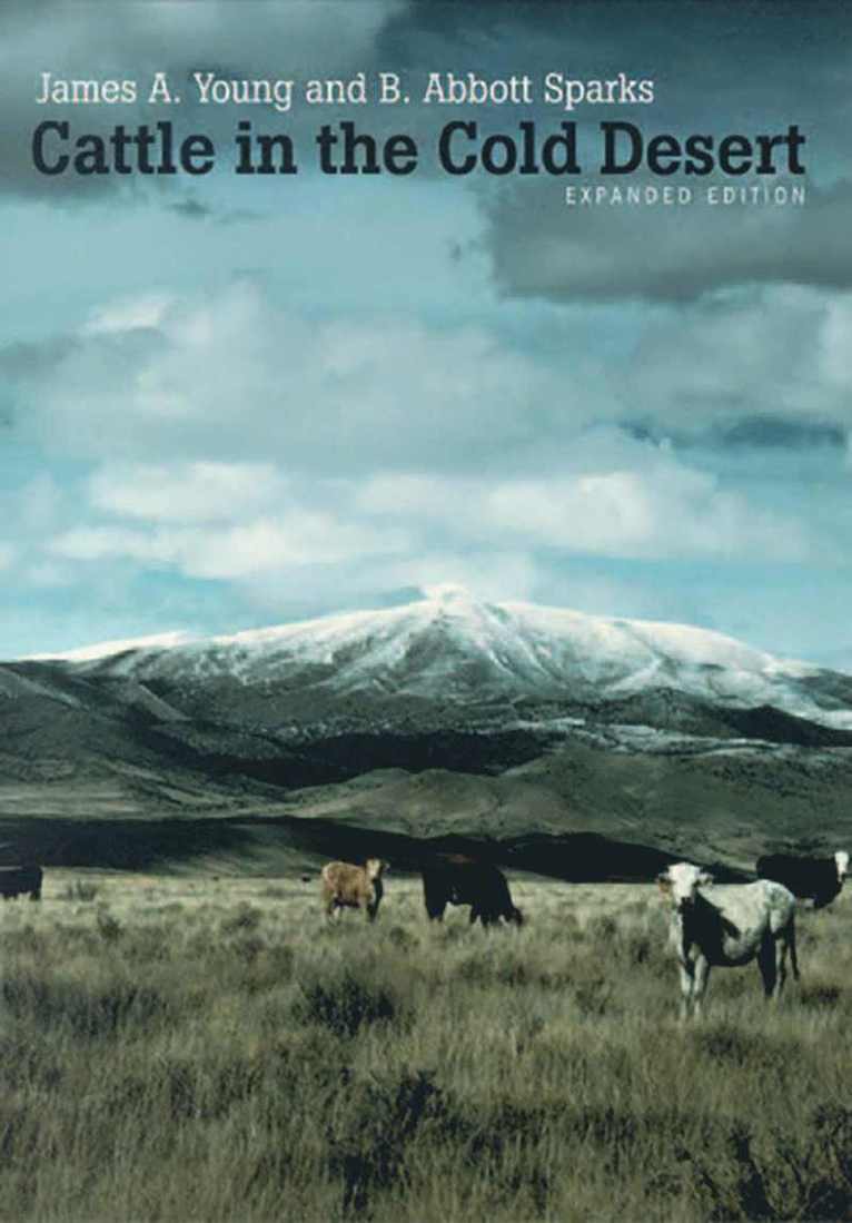 Cattle in the Cold Desert 1