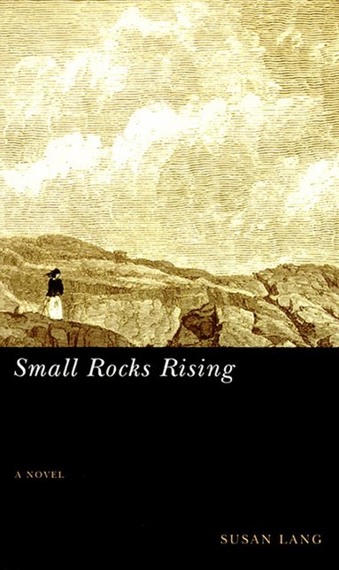 bokomslag Small Rocks Rising