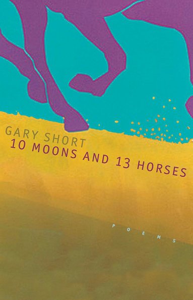 bokomslag 10 Moons and 13 Horses
