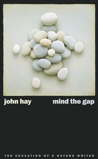 bokomslag Mind the Gap