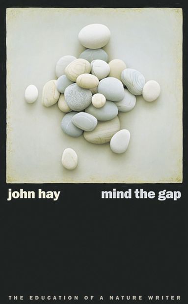 bokomslag Mind the Gap