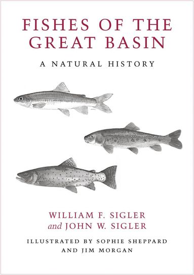 bokomslag Fishes of the Great Basin