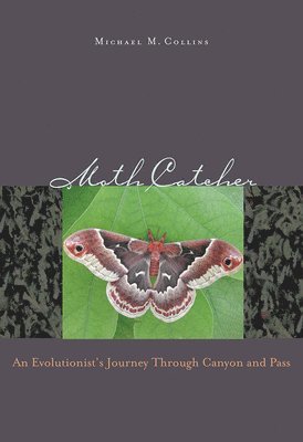 University of Nevada Press, Michael M. Collins - Moth Catcher, Häftad