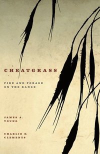 bokomslag Cheatgrass