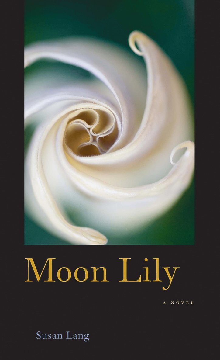 Moon Lily 1