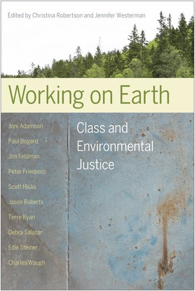bokomslag Working on Earth