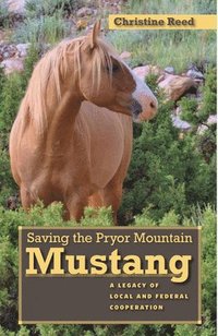 bokomslag Saving the Pryor Mountain Mustang