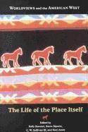 bokomslag Worldviews And The American West