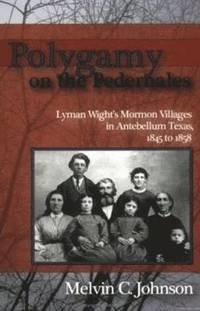 bokomslag Polygamy on the Pedernales