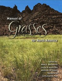 bokomslag Manual of Grasses for North America
