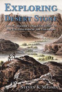 bokomslag Exploring Desert Stone