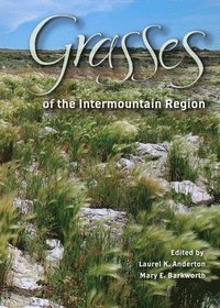 bokomslag Grasses of the Intermountain Region