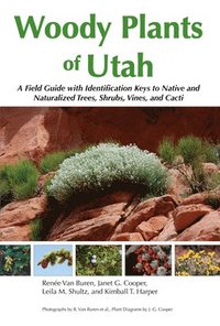 bokomslag Woody Plants of Utah